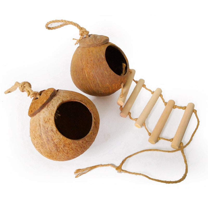 Natural coconut shell bird nest - More bang for your bucks