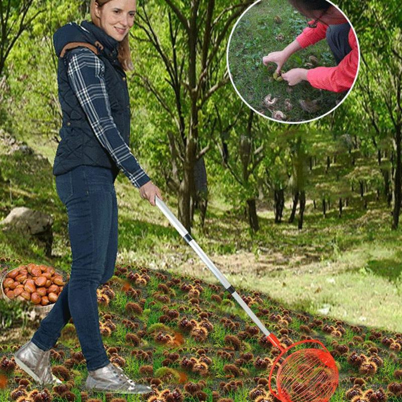 Garden Tools Picking Up Walnuts And Chestnuts - More bang for your bucks