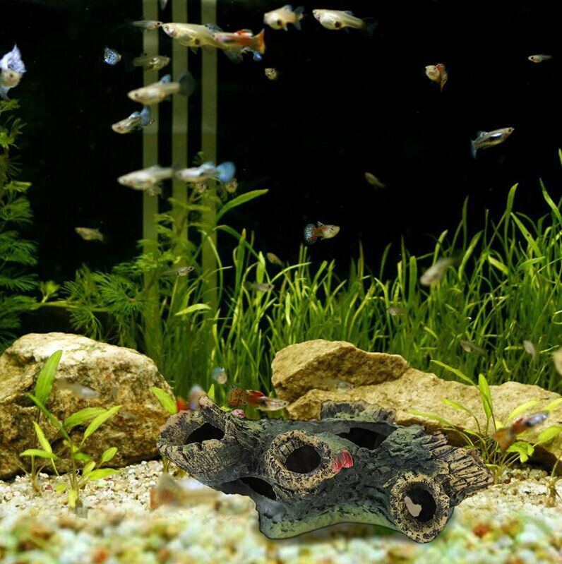 Fish tank landscaping decoration - More bang for your bucks