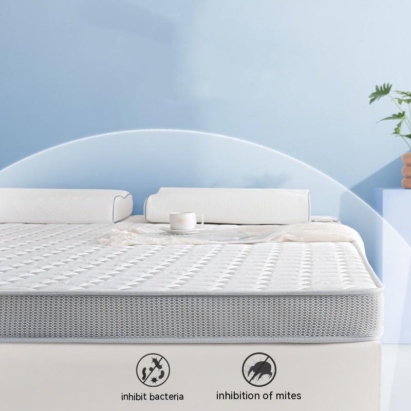 Household Memory Sponge Latex Mattress