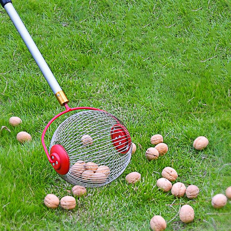 Garden Tools Picking Up Walnuts And Chestnuts - More bang for your bucks