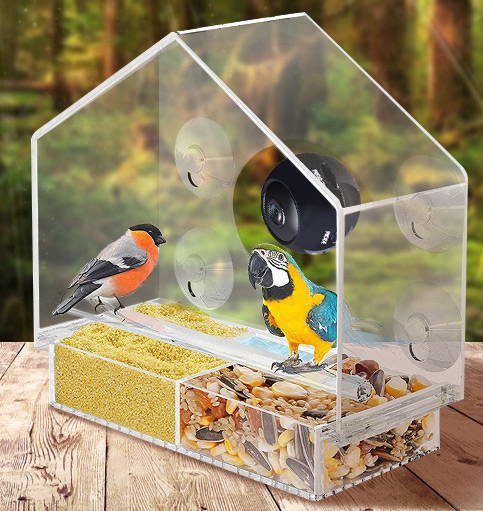 Bird Feeder Camera Live Bird Feeder Cam Bird Buddy Smart Bird Feeder With Camera - More bang for your bucks