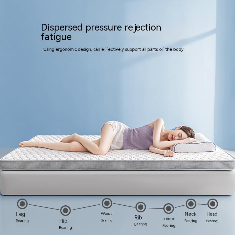 Household Memory Sponge Latex Mattress