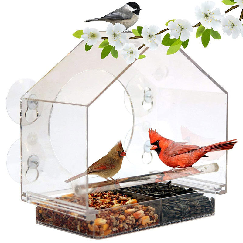 Bird Feeder Camera Live Bird Feeder Cam Bird Buddy Smart Bird Feeder With Camera - More bang for your bucks