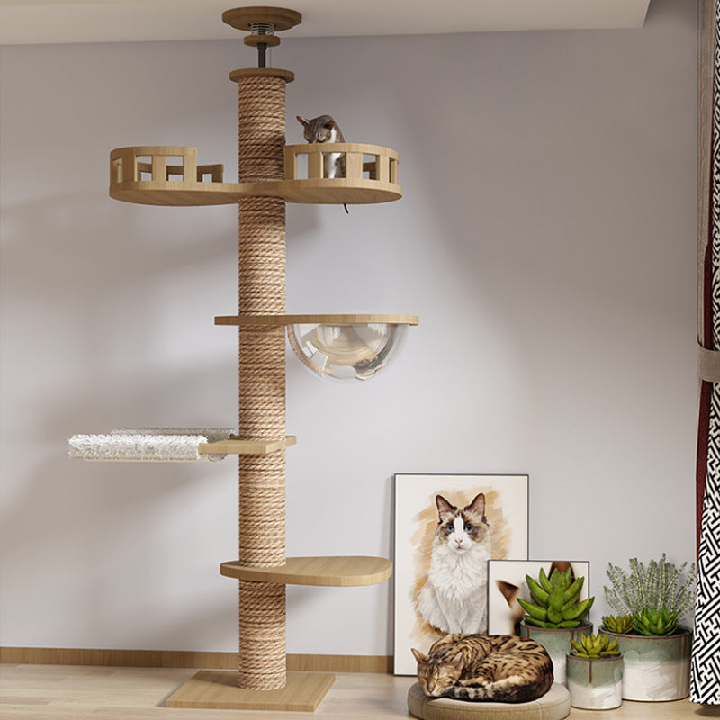 Tongtian Column Climbing Frame Cat Toys - More bang for your bucks